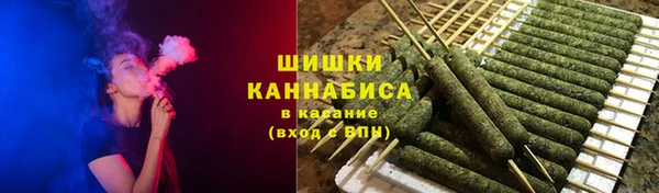 сатива Алексин