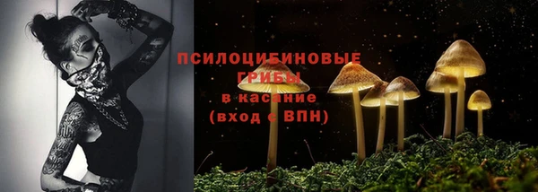 ГАЛЛЮЦИНОГЕННЫЕ ГРИБЫ Алзамай