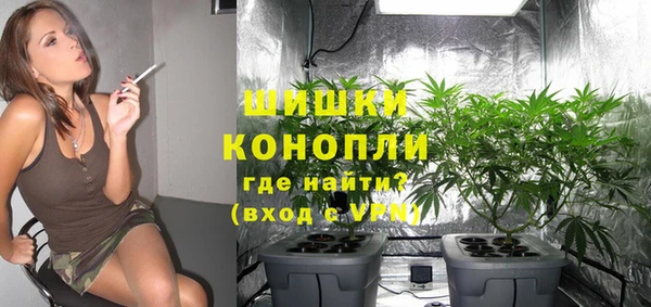 сатива Алексин