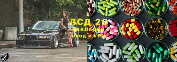 ГАЛЛЮЦИНОГЕННЫЕ ГРИБЫ Алзамай