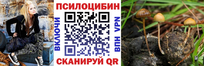 Псилоцибиновые грибы Magic Shrooms Казань