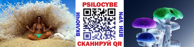закладки  Казань  Галлюциногенные грибы Psilocybine cubensis 